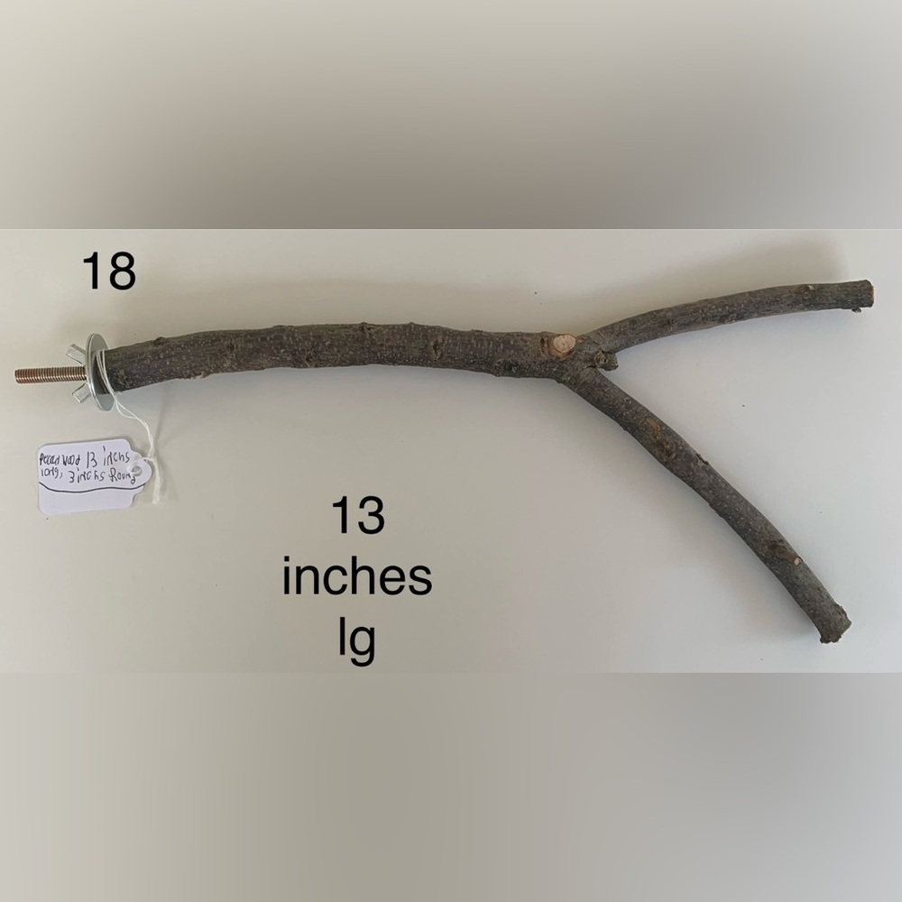 Pecan Wood parrot perch